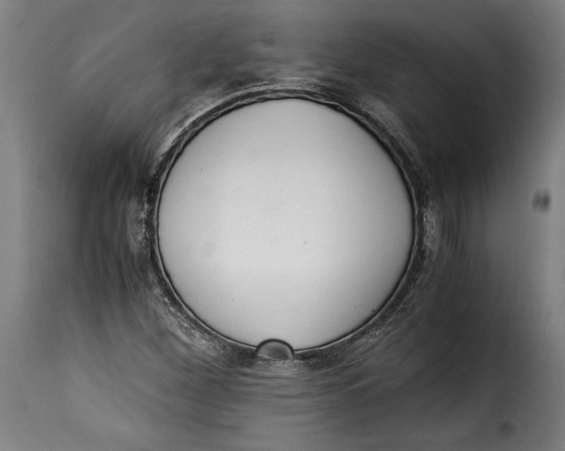 X0000115351260200911241144