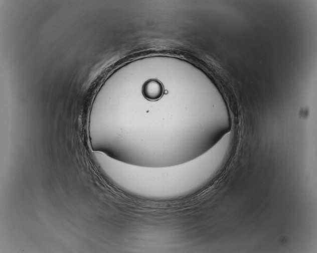 X0000115351261200911241144