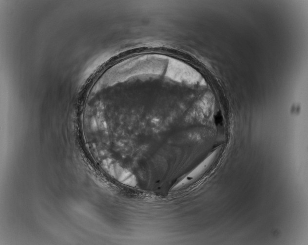 X0000115351263200911241144