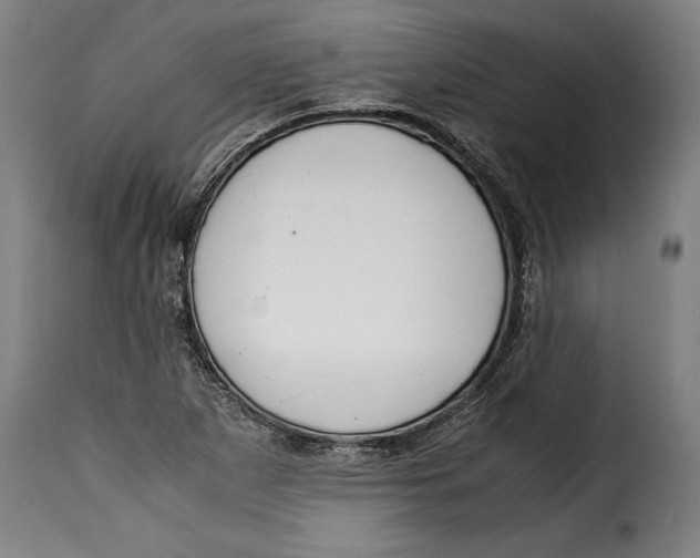 X0000115351265200911241144