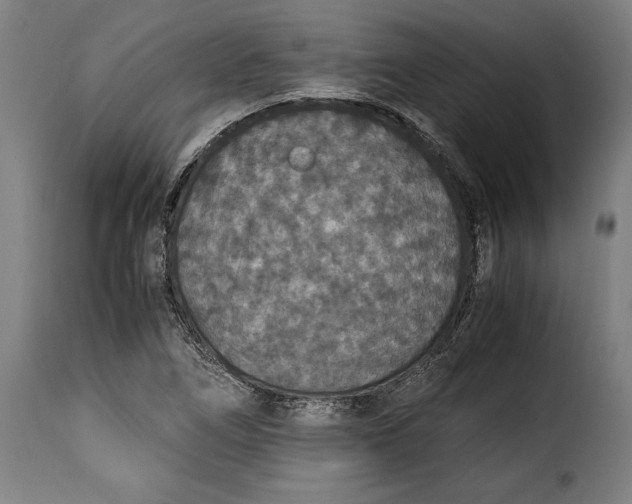 X0000115351266200911241144