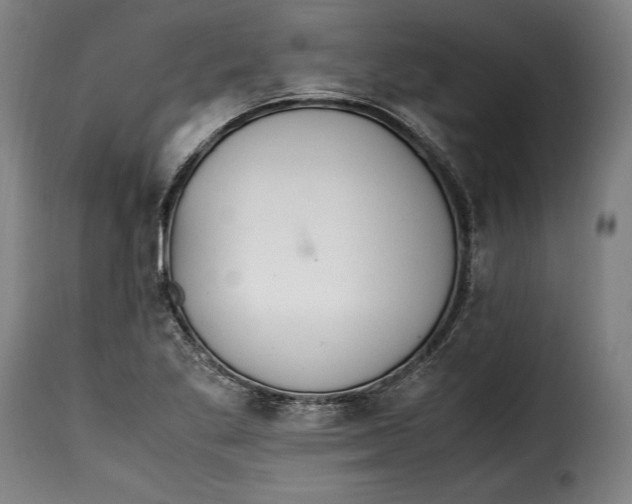 X0000115351269200911241144