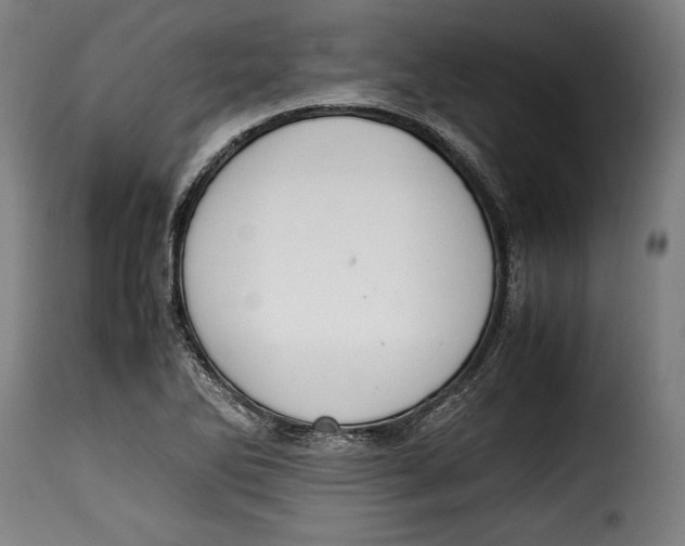 X0000115351270200911241144