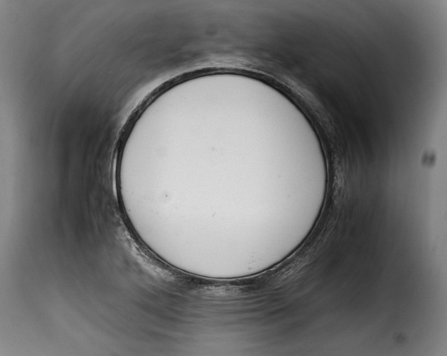 X0000115351272200911241144