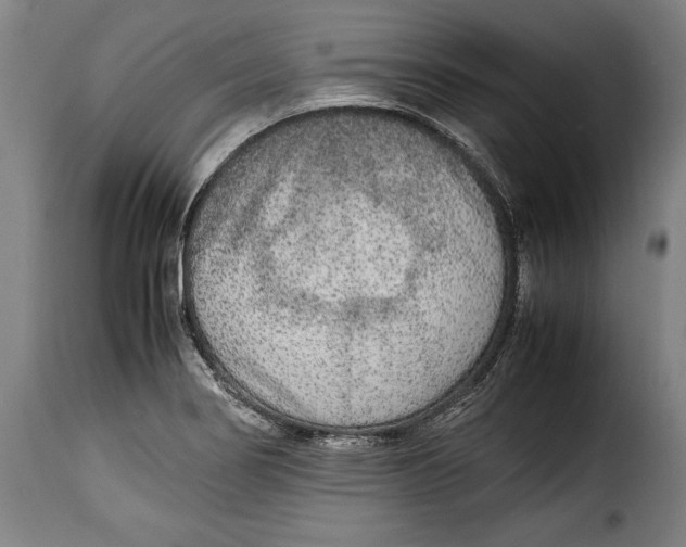 X0000115351274200911241144