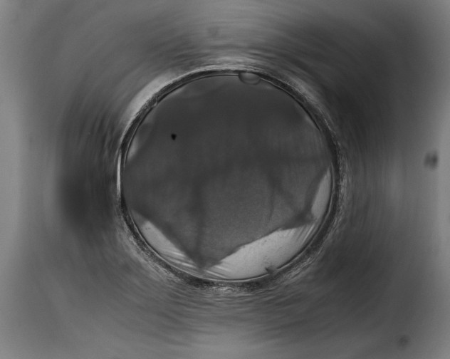 X0000115351275200911241144