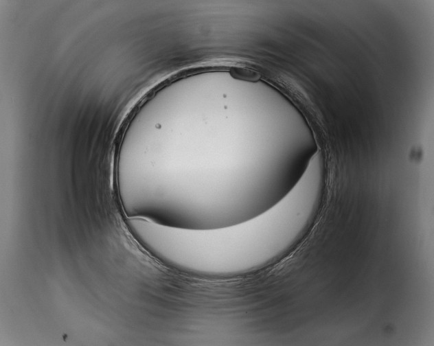 X0000115351276200911241144