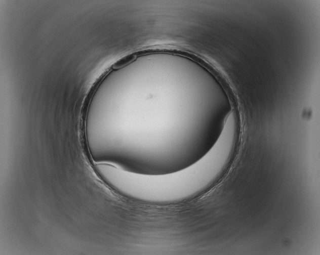X0000115351277200911241144