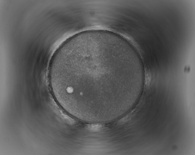 X0000115351278200911241144