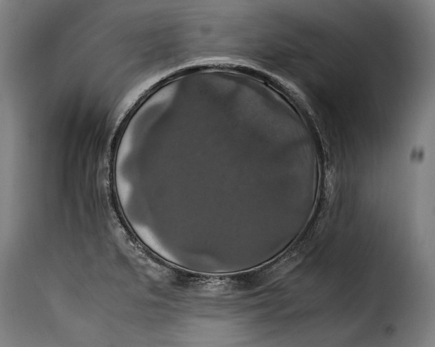 X0000115351279200911241144