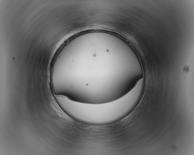 X0000115351280200911241144