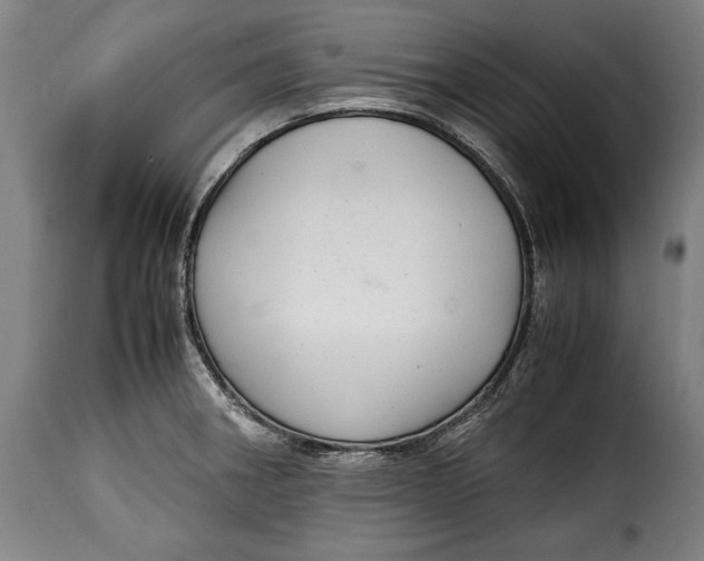 X0000115351282200911241144
