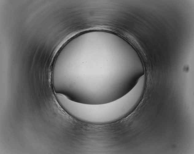 X0000115351284200911241144