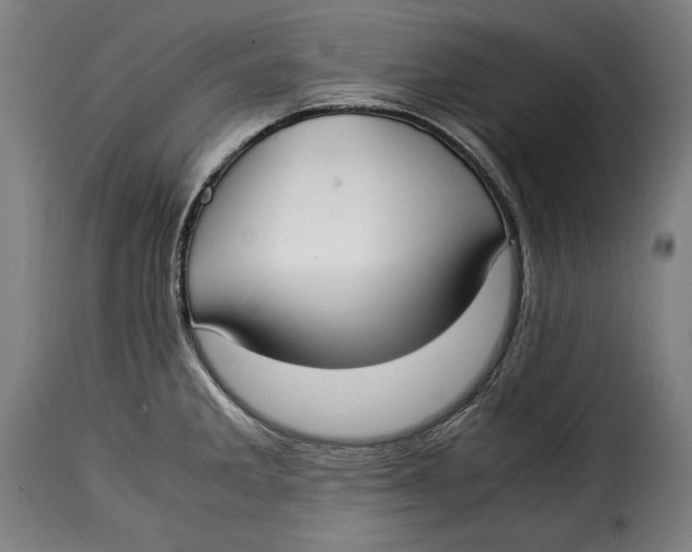 X0000115351285200911241144