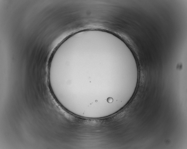 X0000115351286200911241144