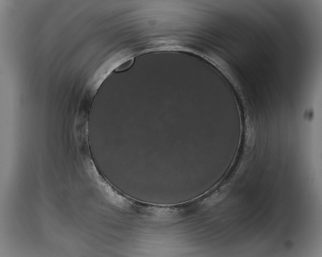 X0000115351289200911241144
