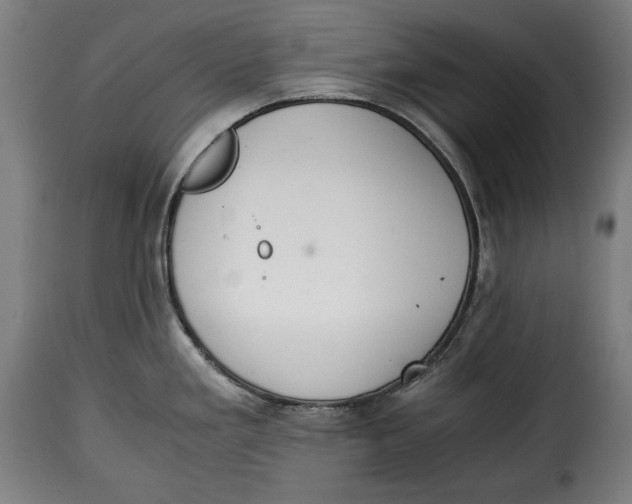 X0000115351293200911241144