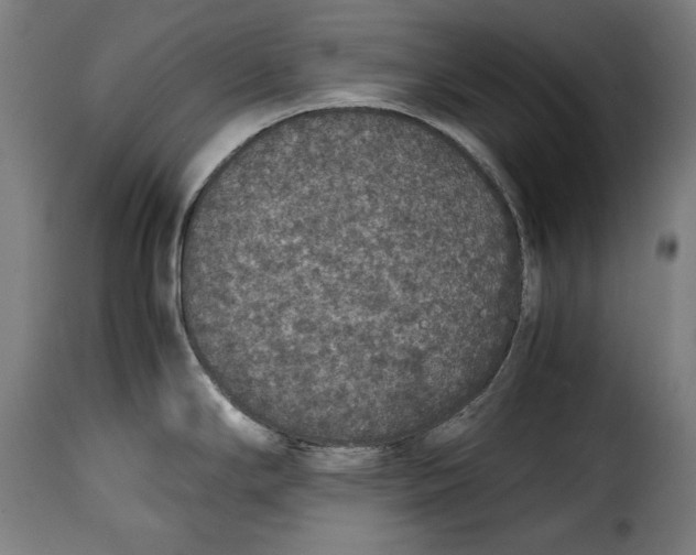 X0000115351294200911241144