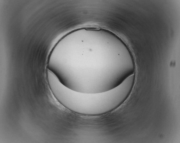 X0000115351296200911241144