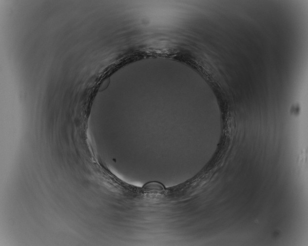 X0000115351297200911241143
