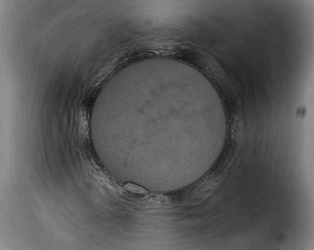 X0000115351298200911241143