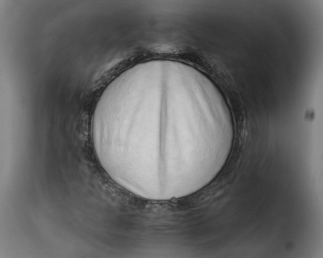 X0000115351301200911241143
