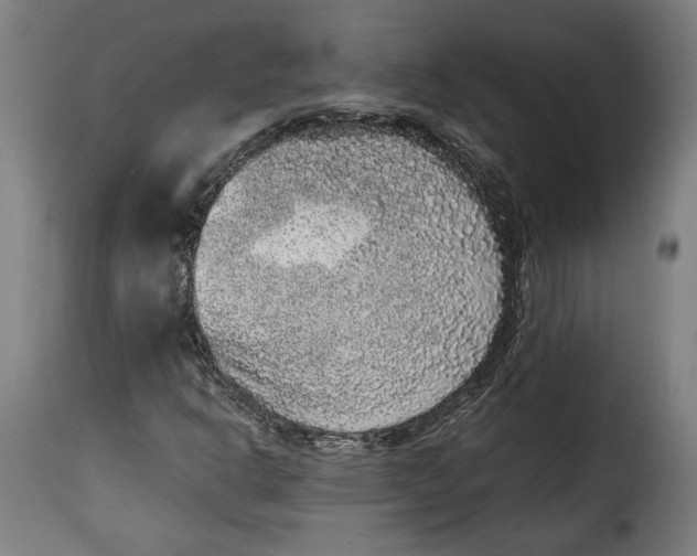 X0000115351302200911241143