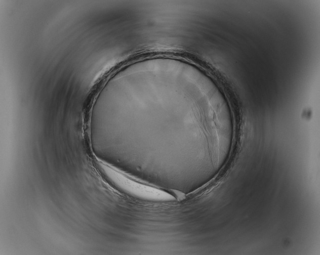 X0000115351306200911241143