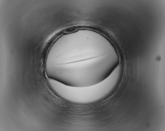 X0000115351310200911241143