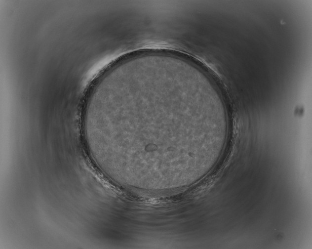 X0000115351311200911241143