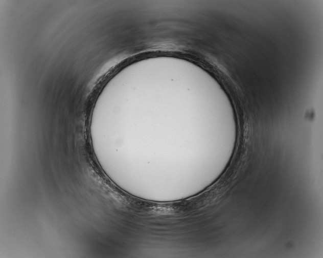 X0000115351315200911241143