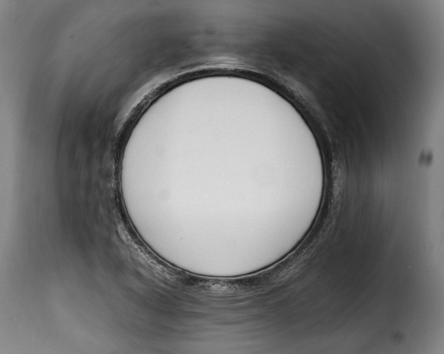 X0000115351318200911241143