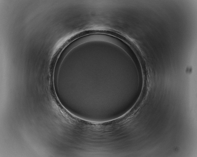 X0000115351319200911241143
