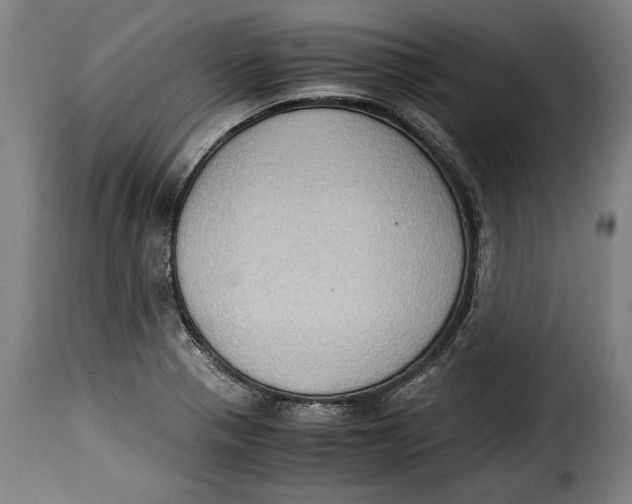 X0000115351321200911241143