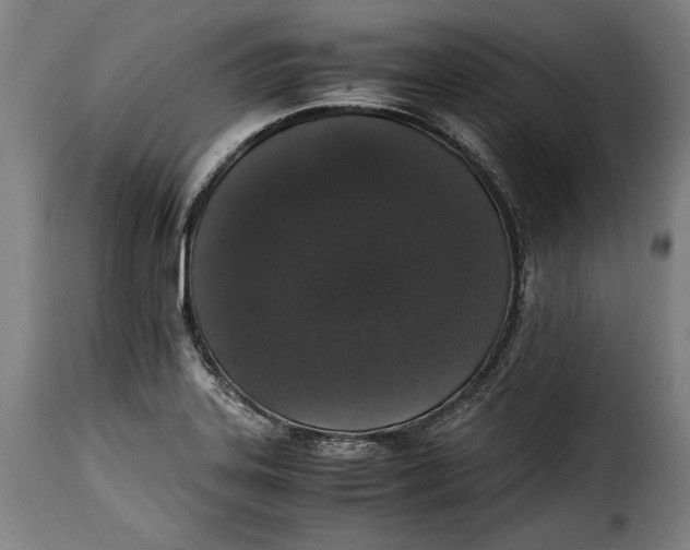 X0000115351323200911241143