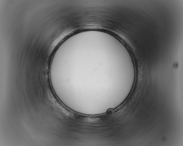 X0000115351325200911241143