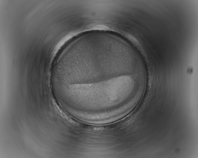 X0000115351326200911241143