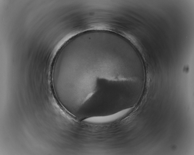 X0000115351331200911241144