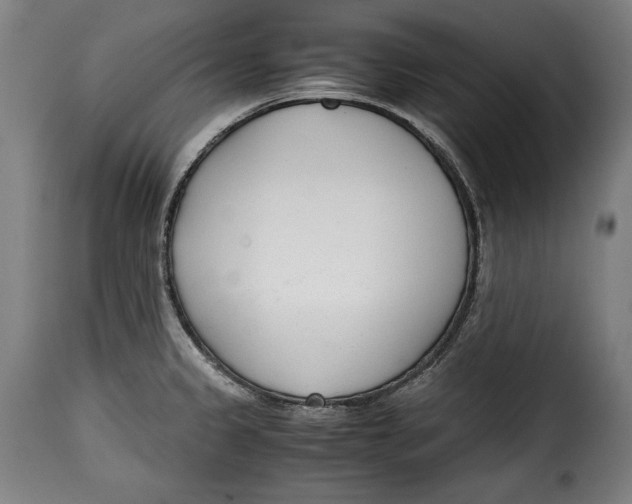 X0000115351333200911241144