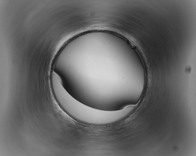 X0000115351334200911241144