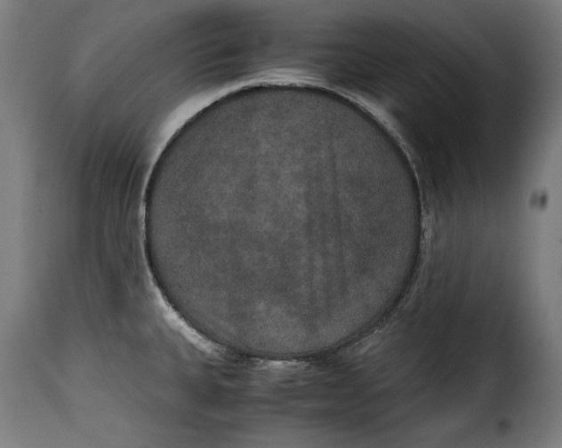 X0000115351335200911241144
