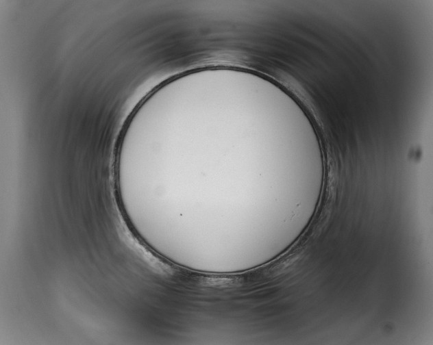X0000115351339200911241144