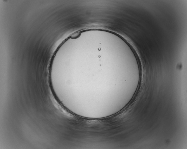 X0000115351341200911241144