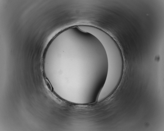 X0000115351342200911241144