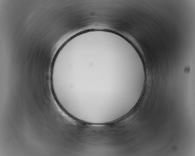 X0000115351343200911241144