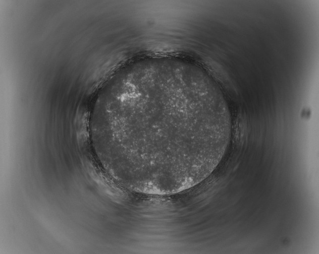 X0000115351346200911241143