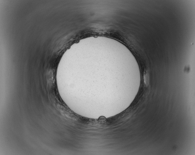 X0000115351347200911241143