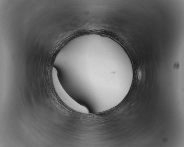 X0000115351348200911241143