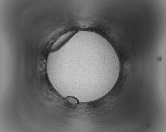 X0000115351349200911241143