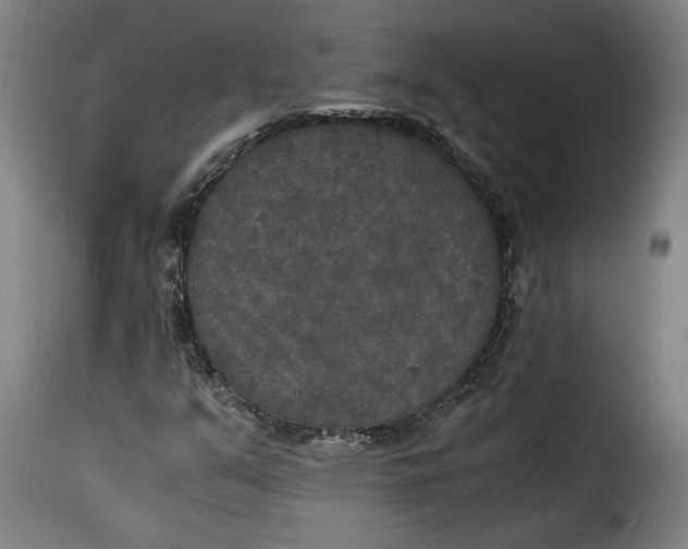 X0000115351351200911241143